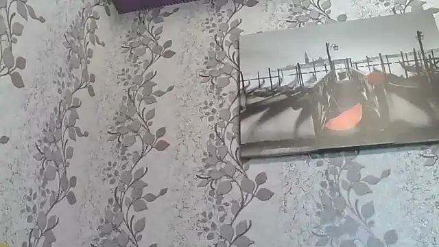 Shailadiess online show from 03-30-26, 07:10