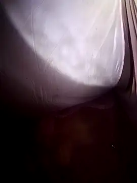 Snapshot of plump-bums chatting on 03-01-26, 02:28 plump-bums online show from 03-01-26, 02:28