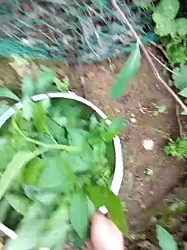 Girl-crazy1 online show from 03-09-26, 09:35