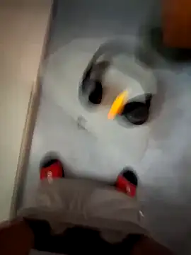 Snapshot of cetriolino chatting on 03-12-26, 06:17 cetriolino online show from 03-12-26, 06:17