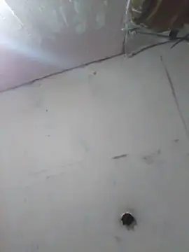 cobrosdepagos online show from 04-11-26, 04:20