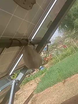 Snapshot of mastmalai chatting on 03-17-26, 04:37 mastmalai online show from 03-17-26, 04:37