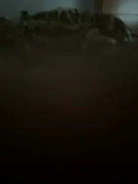 jacobbb5 online show from 04-19-26, 11:22