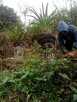 Snapshot of nelina_12345 chatting on 02-15-26, 09:08 nelina 12345 online show from 02-15-26, 09:08