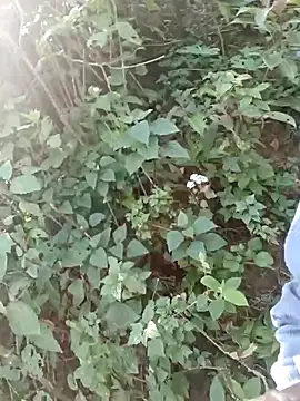 nelina 12345 online show from 04-08-26, 02:35