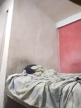 Arteiroelo online show from 04-11-26, 10:41