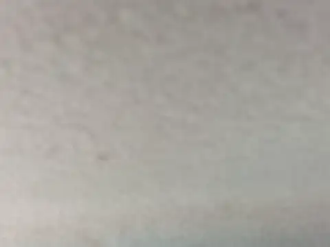dustbunny64 online show from 07-31-26, 04:15