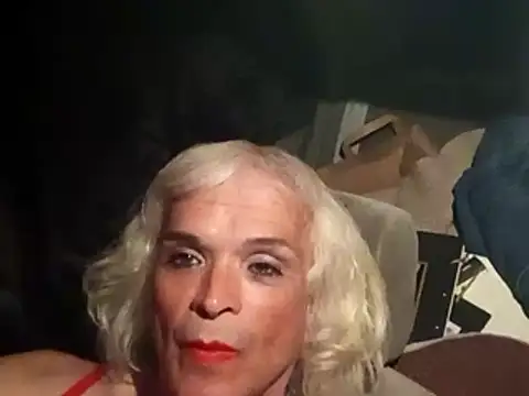 dustbunny64 online show from 03-21-26, 10:09