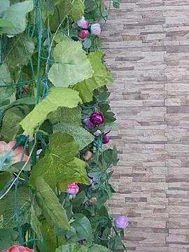 Snapshot of Roma_xxx chatting on 02-14-26, 10:21 Roma xxx online show from 02-14-26, 10:21