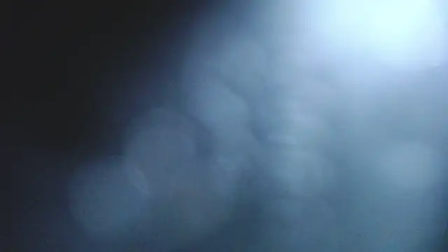 Stannly1 online show from 03-11-26, 09:36