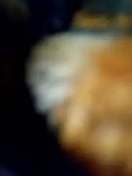 Snapshot of Avinh_09 chatting on 02-15-26, 05:23 Avinh 09 online show from 02-15-26, 05:23