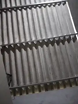 Snapshot of Baby_flower_1 chatting on 02-16-26, 08:24 Baby flower 1 online show from 02-16-26, 08:24