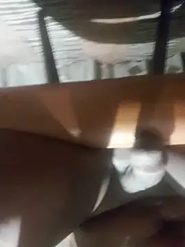 Cookiesucker2025 online show from 03-15-26, 11:56