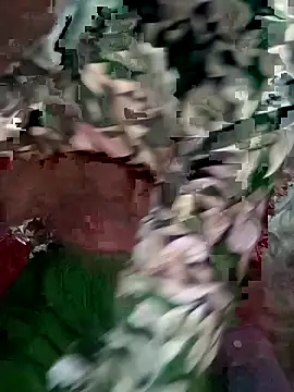 mimpake online show from 04-10-26, 08:21