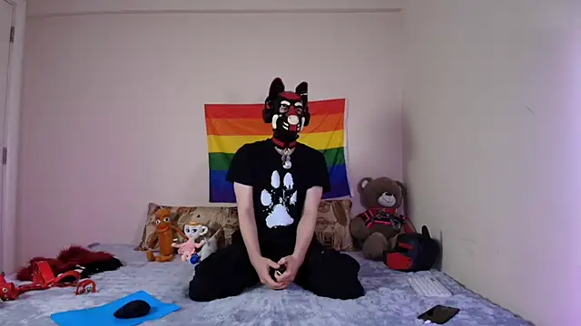 K9 GoodBoy online show from 04-15-26, 05:17