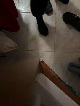 D4n13l47 online show from 04-05-26, 06:58