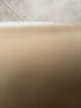 D4n13l47 online show from 04-10-26, 06:53