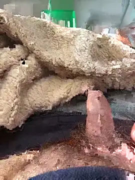 D4n13l47 online show from 03-04-26, 10:01