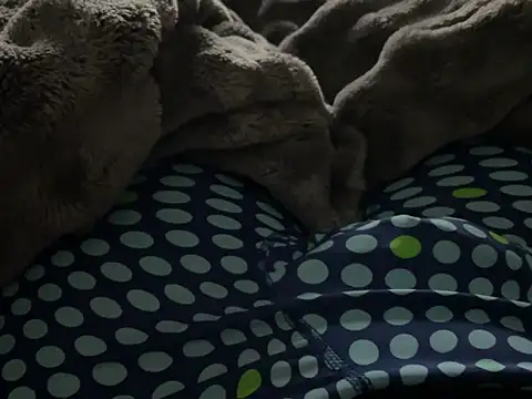 kakarot241515 online show from 03-06-26, 02:17