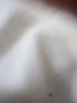 Snapshot of Jaybraconect chatting on 02-21-26, 05:09 Jaybraconect online show from 02-21-26, 05:09