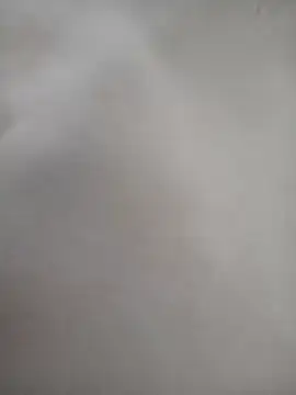 thom7246 online show from 03-31-26, 09:22