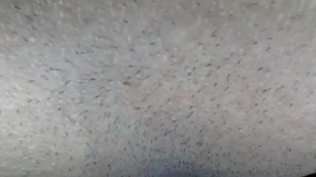 machodotado97 online show from 03-15-26, 05:14