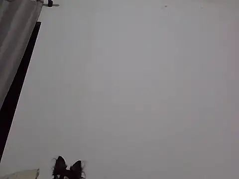 Snapshot of machodotado97 chatting on 03-02-26, 05:41 machodotado97 online show from 03-02-26, 05:41