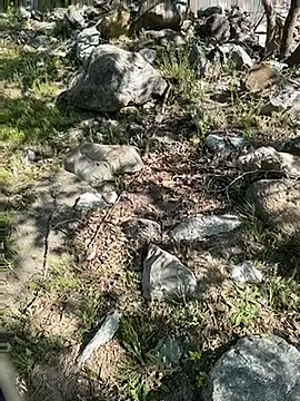 TurkeyMen online show from 04-30-26, 06:09