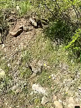 TurkeyMen online show from 04-29-26, 06:39