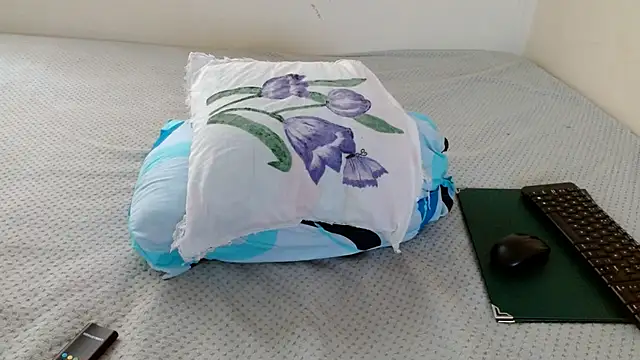  online show from 04-02-26, 03:19