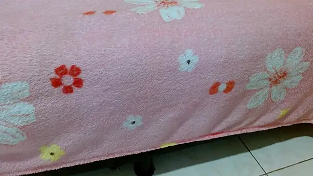  online show from 03-28-26, 06:36