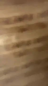 walterktm online show from 04-08-26, 02:35