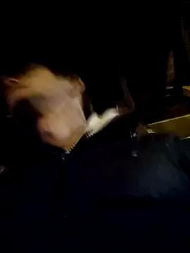 DlaNiej online show from 02-26-26, 06:30