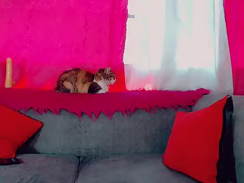 DeboraGill online show from 03-10-26, 08:24