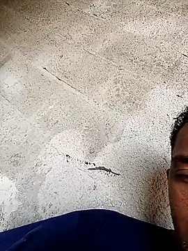 Snapshot of negopreto_ chatting on 02-24-26, 07:37 negopreto online show from 02-24-26, 07:37