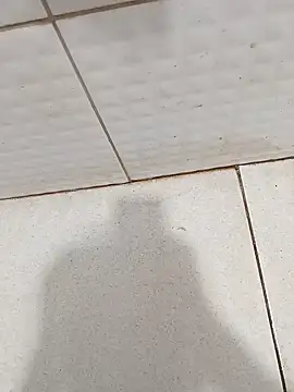 Snapshot of negopreto_ chatting on 02-26-26, 08:53 negopreto online show from 02-26-26, 08:53