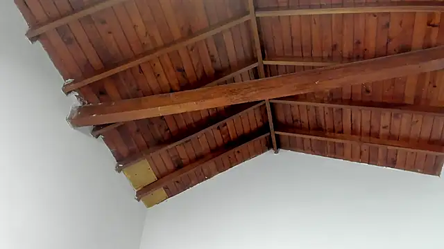 TonyPetrovjs online show from 03-15-26, 07:37