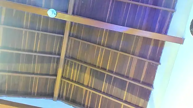 Snapshot of TonyPetrovjs chatting on 02-26-26, 05:51 TonyPetrovjs online show from 02-26-26, 05:51