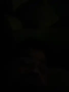 king181869 online show from 03-23-26, 07:14