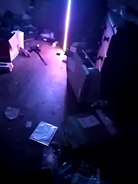 cexcitef online show from 03-03-26, 12:28