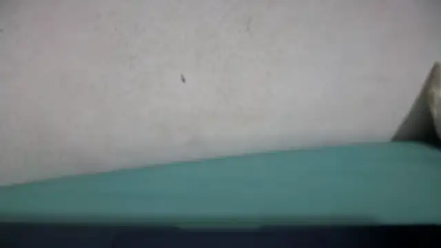 Snapshot of Neila_SexyGirl chatting on 05-21-26, 05:16 Neila SexyGirl online show from 05-21-26, 05:16