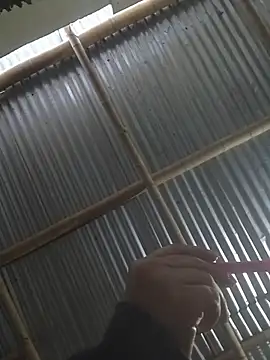 mar coral2 online show from 03-27-26, 11:44