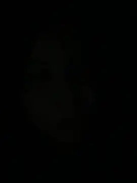 gatinholl online show from 03-09-26, 05:33