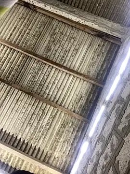 ale sweet53 online show from 04-03-26, 01:56