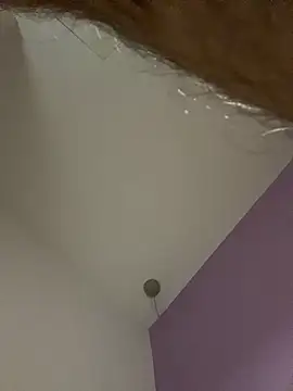 dimitri25987 online show from 04-17-26, 07:33