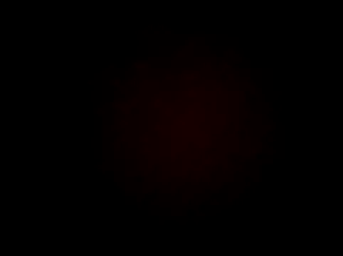 wifedesi7050 online show from 03-24-26, 07:30