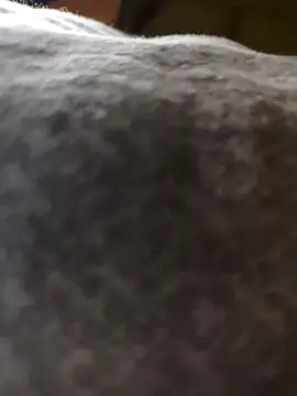 mrsdevika online show from 04-17-26, 08:33