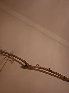 ProfessoraCasada online show from 07-29-26, 05:23