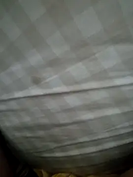 Edu235 online show from 03-23-26, 02:33