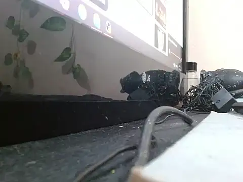 powderblu69 online show from 05-06-26, 06:56